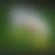 Zagraj Let It Ride z Playtech w {"id":51,"name":"1bet","design":{"logo":"1bet-logo.P2nmWh.svg","favicon":"1bet-favicon.JrjLj0.png","banner_poker":"1bet-poker.xiTxuV.webp","banner_mobile":"1bet-mobile.WvsXIM.webp","block_bg_color":"#076352","image_bg_color":"#064e3b","banner_bg_color":"#076352","block_text_color":"#ffffff","primary_bg_color":"#21272A","banner_text_color":"#fff","footer_logos_type":"white","block_round_radius":"0.5rem","primary_text_color":"#ffffff","button_round_radius":"0.5rem","banner_welcome_bonus":"1bet-welcome-bonus.uXU1MJ.webp","primary_button_bg_color":"#FADF00","primary_button_text_color":"#111827","secondary_button_bg_color":"#f3f4f6","secondary_button_text_color":"#18181b"},"created_at":"2025-05-14T09:25:22.000000Z","updated_at":"2025-05-14T09:25:22.000000Z","deleted_at":null}